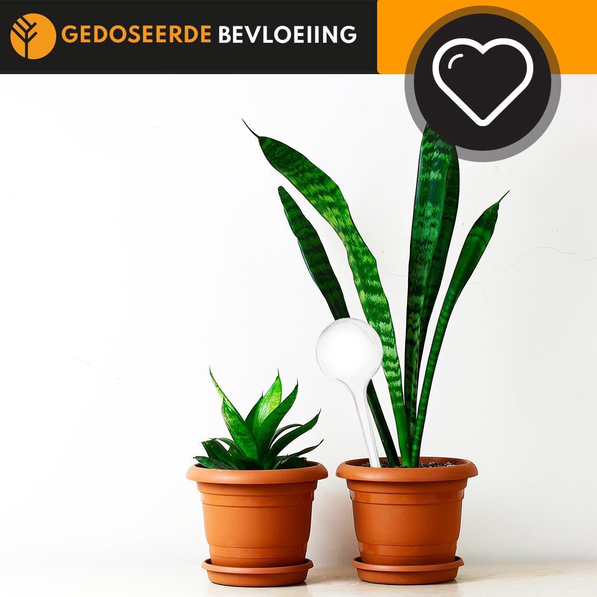  Waterdruppelaar Set Van 6 Stuks Voor Planten Transparant – 27 CM – Automatisch Watergeefsysteem Voor Kamerplanten – Planten Watergever Met Druppelsysteem – Waterbol