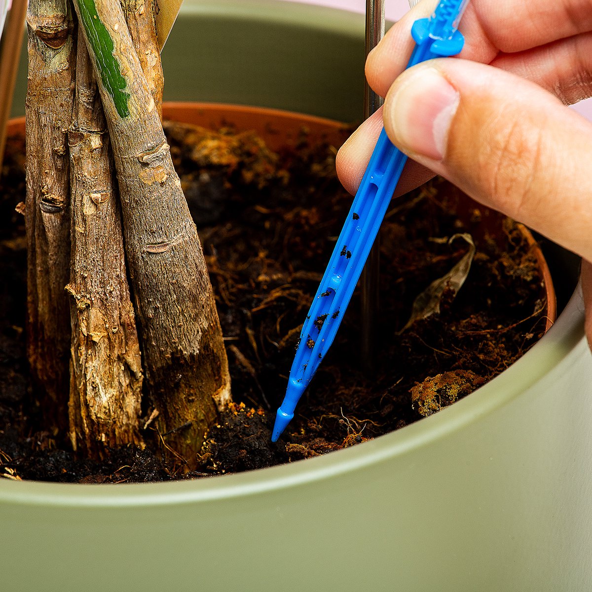  Woonaccessoires- Automatisch Watergeef Systeem | Plantenwaterer - Life Support Irrigatieapparaat | Druppelaar Kamerplanten - | Planten Watergever Met Druppelsysteem 350ml