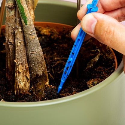  Woonaccessoires- Automatisch Watergeef Systeem | Plantenwaterer - Life Support Irrigatieapparaat | Druppelaar Kamerplanten - | Planten Watergever Met Druppelsysteem 350ml