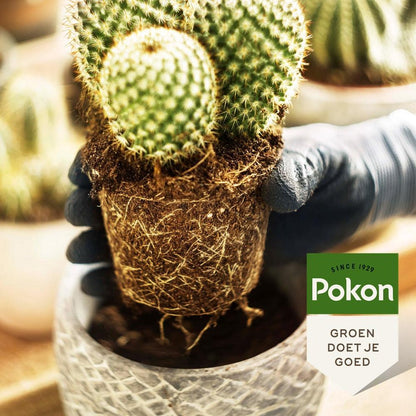  Pokon Cactus Potgrond - 5l - Potgrond (Cactus) - 60 Dagen Voeding
