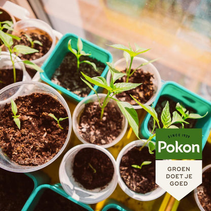  Pokon Bio Zaai- En Stekgrond - 20l - Potgrond (biologisch) - Stimuleert Wortelontwikkeling