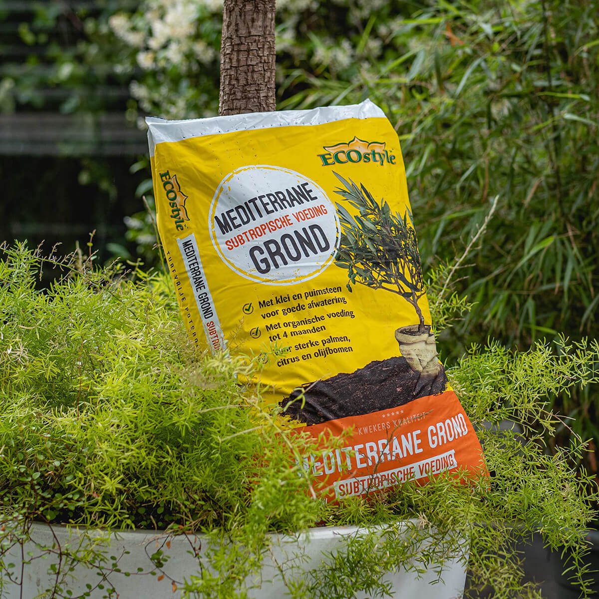  ECOstyle Mediterrane Grond Turfvrije Potgrond Voor Palmen, Citrussen- En Olijfbomen- Subtropische Voeding - Klei &amp; Puimsteen - Terras &amp; Tuin - 30 L