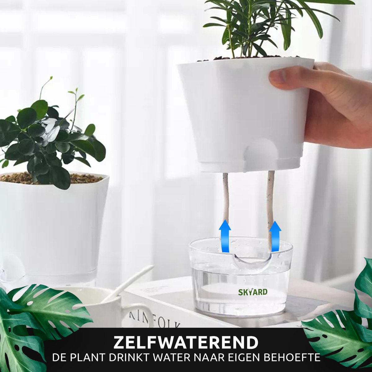  SKYARD® 3 Stuks Zelfwaterende Bloempot Maat M – Milieuvriendelijk Watergeefsysteem Kamerplanten – Zelfwatergevende Pot – Bloempot Met Waterreservoir – Selfwatering Pot – Wit