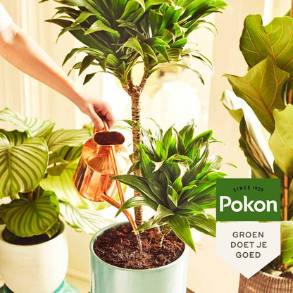  Pokon Kamerplanten Potgrond - 20l - Potgrond (kamerplant) - 6 Maanden Voeding