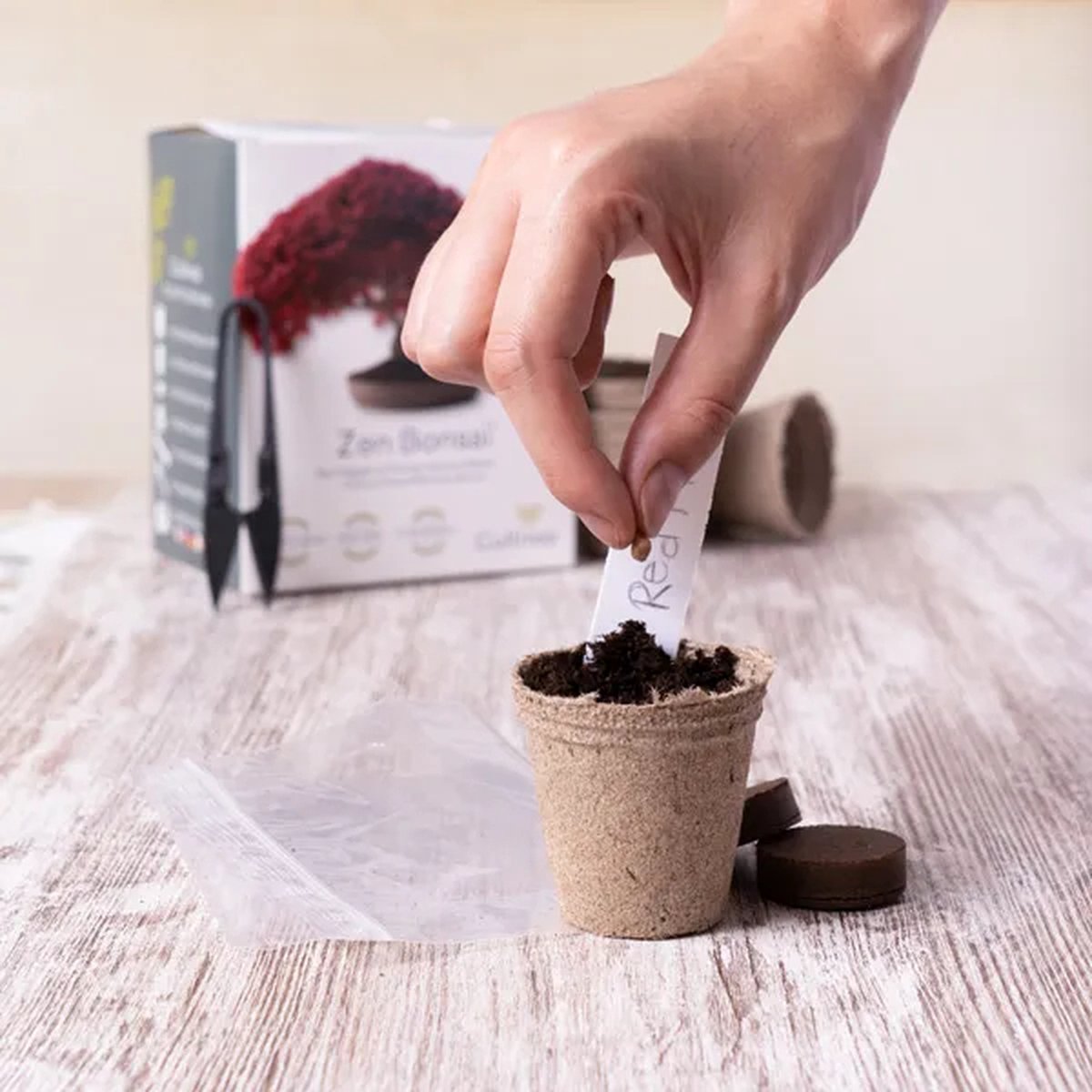  Mini Zen Bonsai Kit