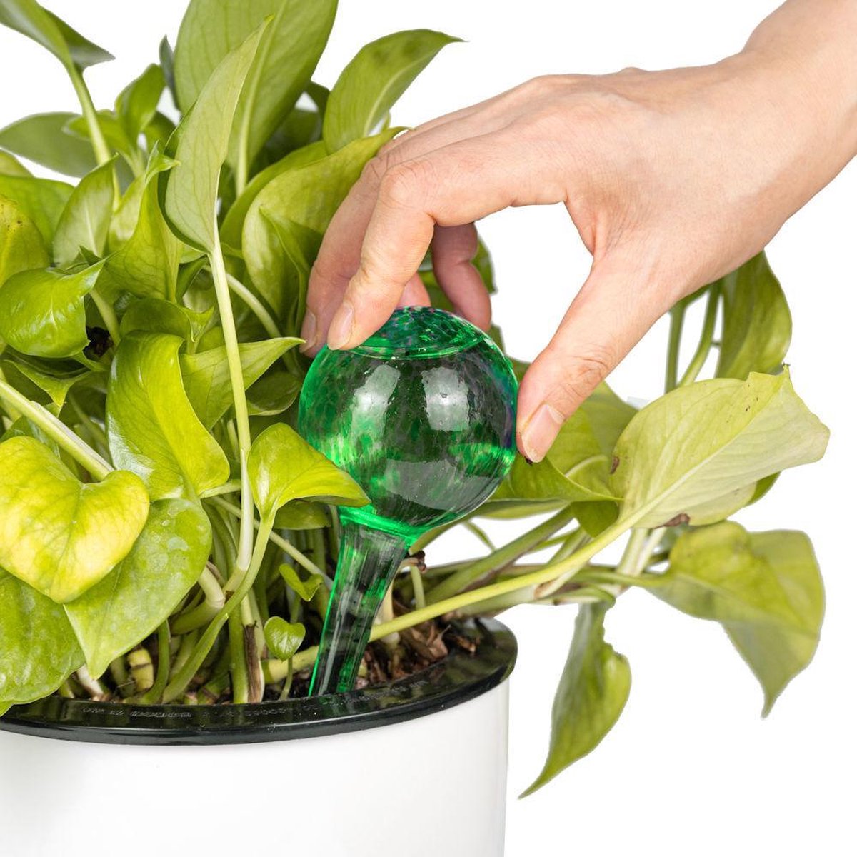 Merkloos Decopatent® 4 Stuks - Waterdruppelaar Voor Planten - Watergever - Glas - Waterbollen - Watergeefsysteem - Plantenbollen - Groen