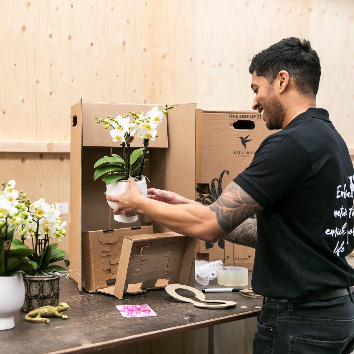  Kolibri Orchids | Rode Phalaenopsis Orchidee - Congo - Potmaat Ø9cm | Bloeiende Kamerplant - Vers Van De Kweker