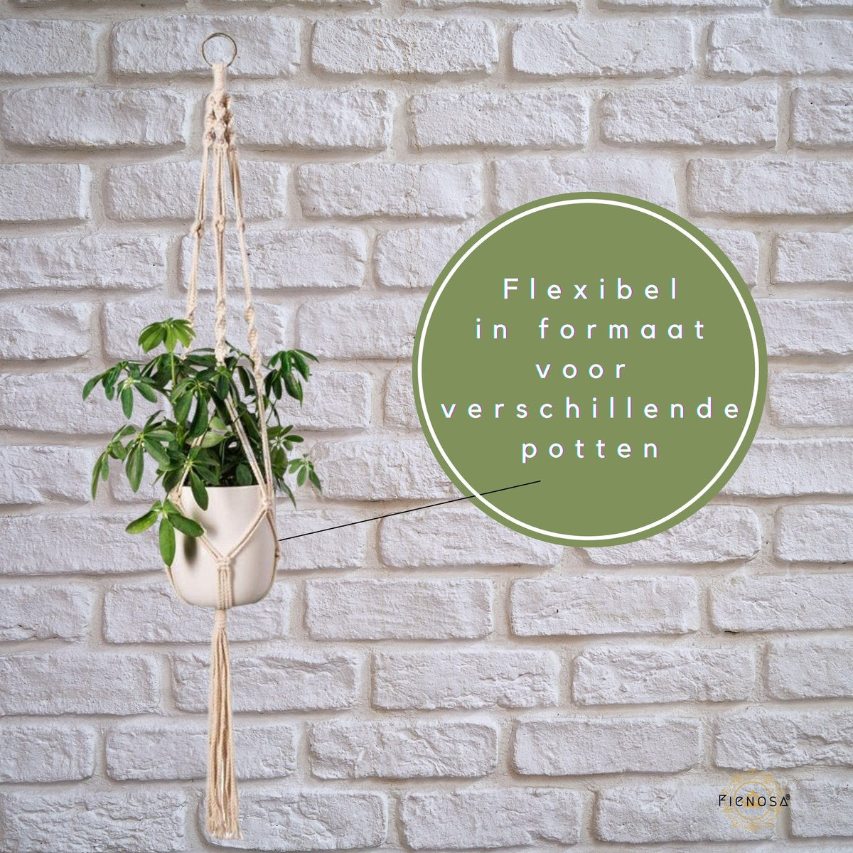  Plantenhanger - Plantenhanger Macrame - Set Van 2 - Wit - Knopen - Luxe Gevlochten Touw - Met Ophang Haken - Fienosa
