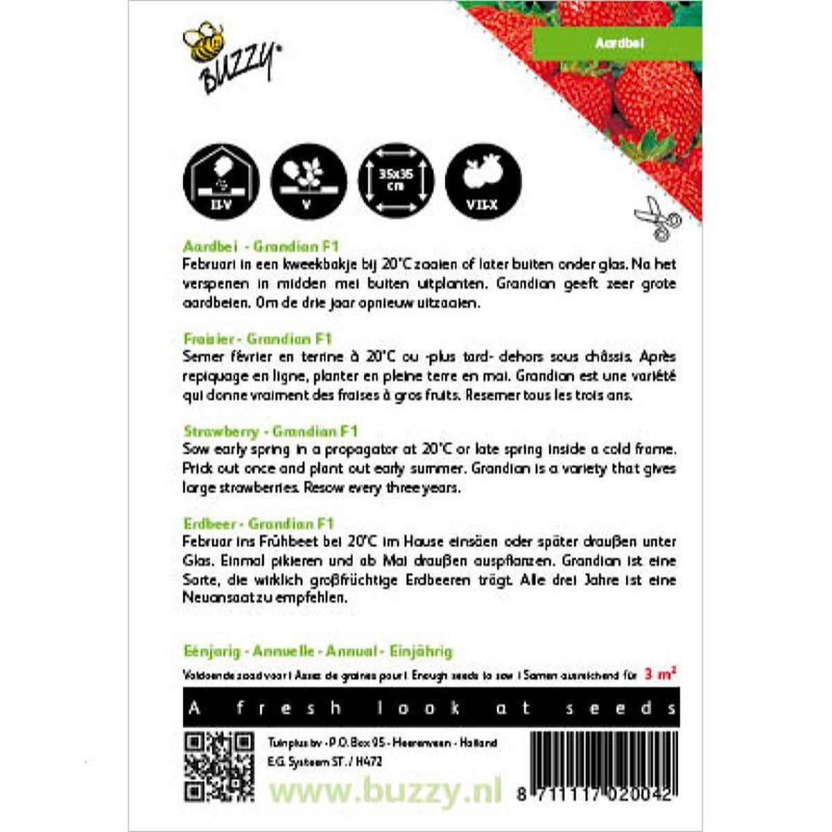  Buzzy® Aardbeien Grandian F1