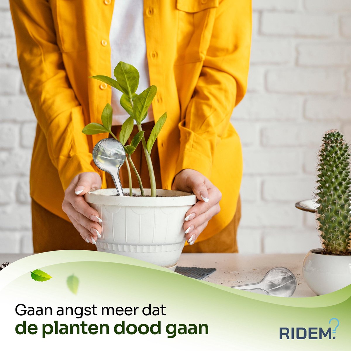  Waterdruppelaar Voor Planten - Irrigatiesysteem- Waterbol - Druppelsysteem - Watergeefsysteem Voor Kamerplanten - Plantenwatergever -6 Stuks - Transparant