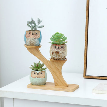  Luxe Bamboe Houten Boom Met 3 Keramiek Uil Bloempotten/Plantenpotten Op Standaard/Voet Voor Binnen En Buiten - Modern Design Bloempot/Plantenpot Op Poten/Pootjes-Plantenbak Mini Cactus Nep Plant Pot Houder - Kleine Bloembakken Plantenrek/Plantenkurk