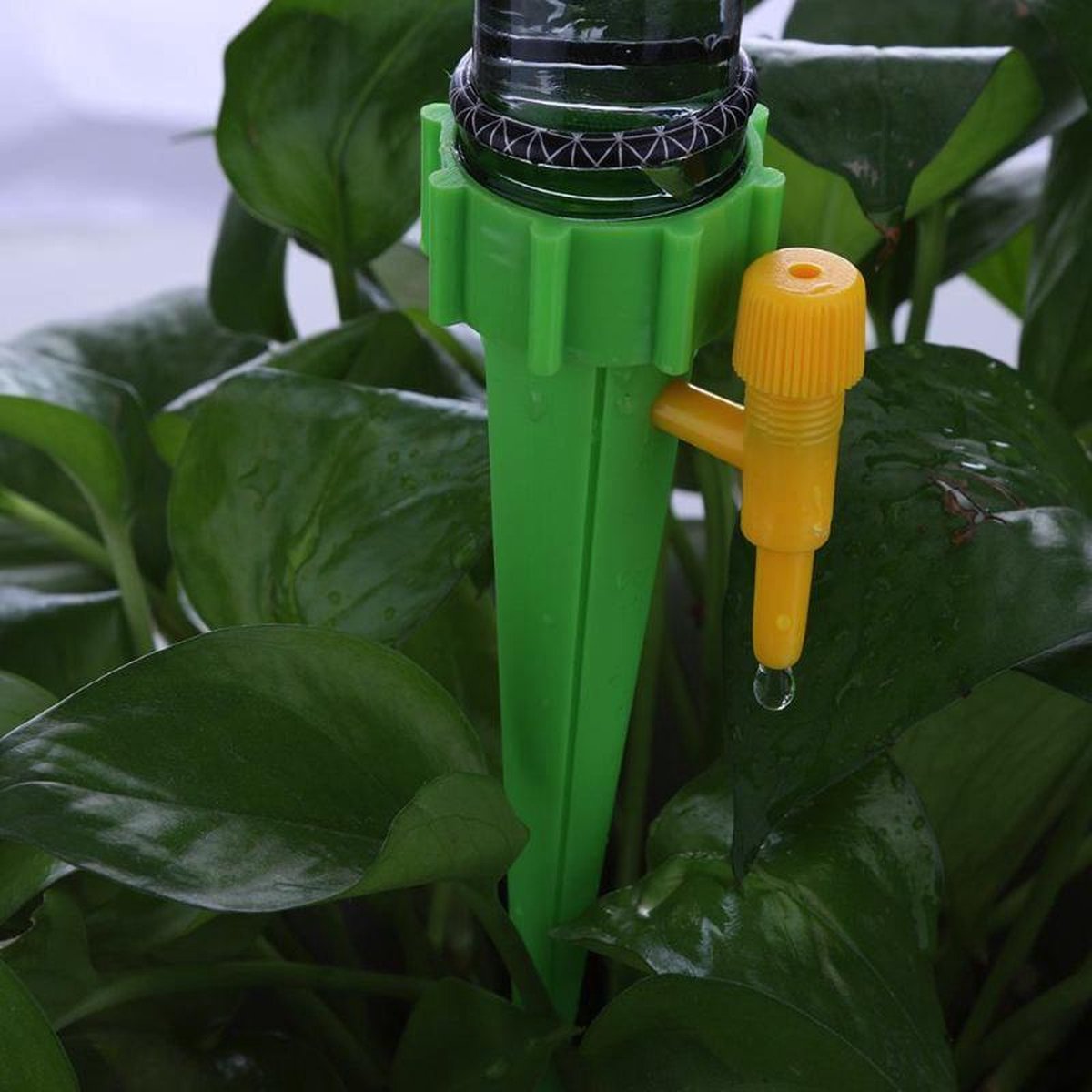  12 Stuks Plant Bewateringssysteem | Waterdruppelaar | Druppelsysteem |Bewateringssysteem | Bewateringsyteem Watergeefsysteem | Plantenbol | Automatische Gieter | Water Druppelaar | Druppel Systeem | Water Geef Systeem | Plantenbol |