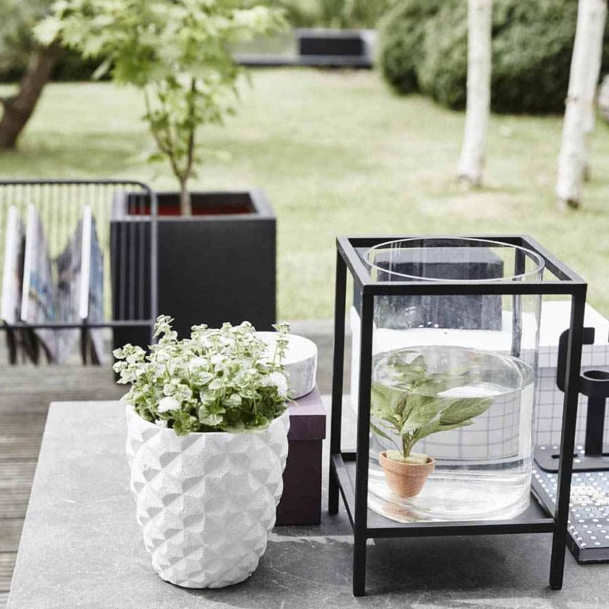  Capi Europe - Bloempot Vierkant Smooth NL - 30x30x30 - Zwart - Voor Binnen En Buiten - KBL902