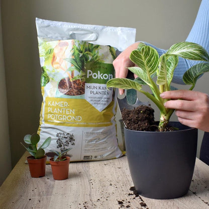  Pokon Kamerplanten Potgrond - 20l - Potgrond (kamerplant) - 6 Maanden Voeding