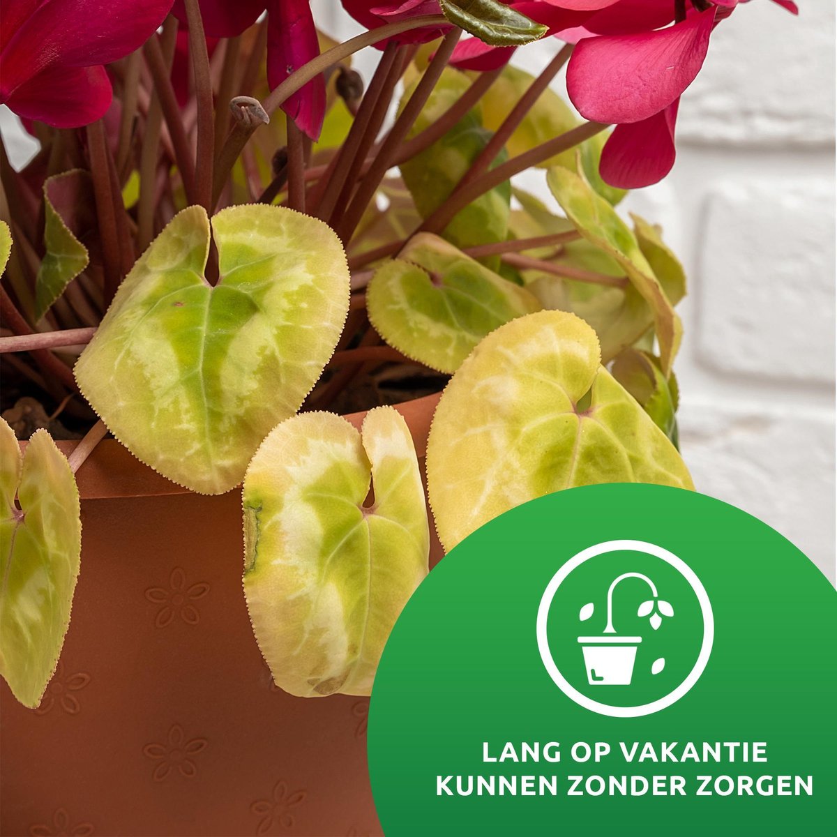  SKYARD® Waterdruppelaar Set Van 10 – Watergeefsysteem Geschikt Binnen (Kamerplanten) En Buiten – Bewateringssysteem Met Instelbare Druppelsnelheid - Irrigatiesysteem - Planten Watergever - Waterbol