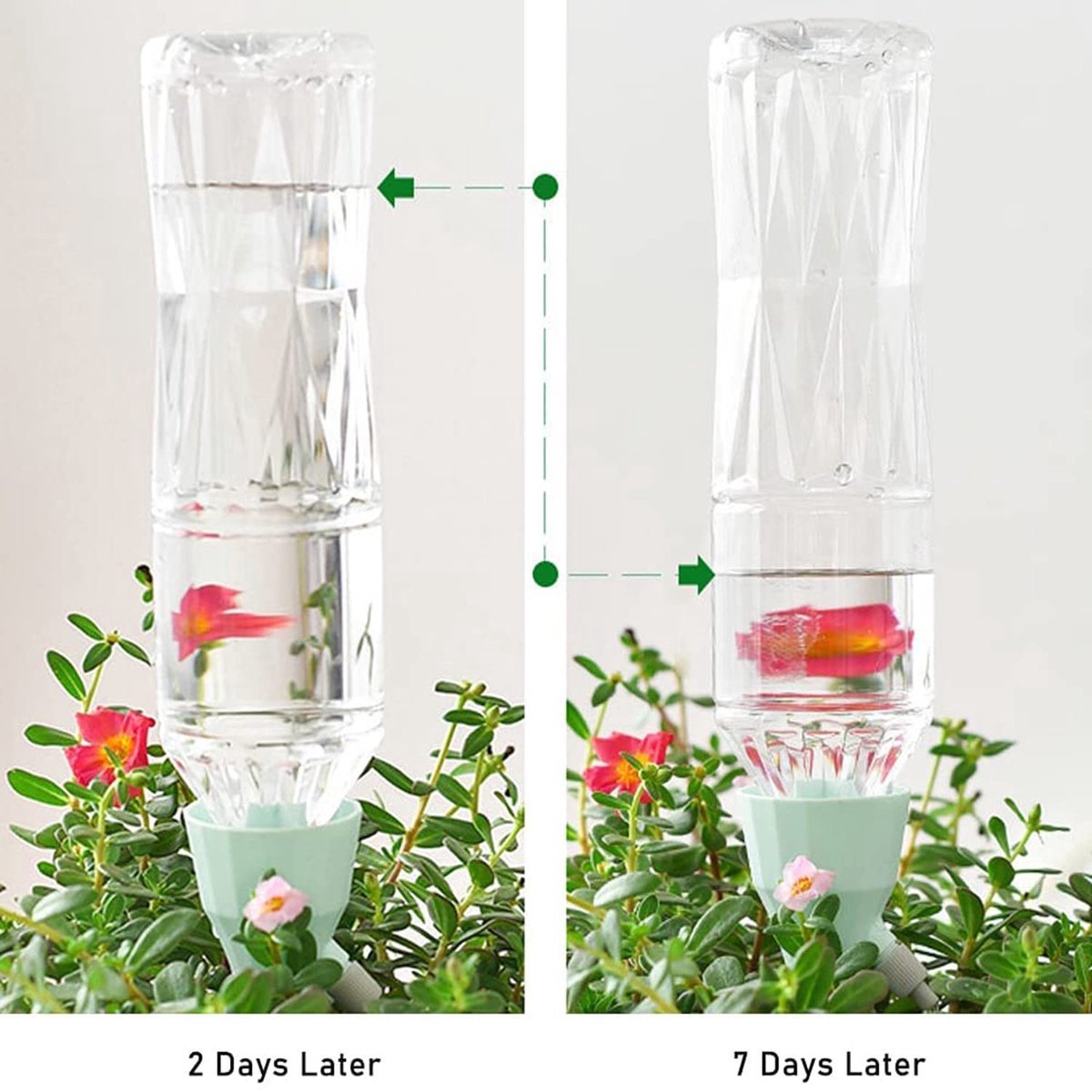 BOTC Waterdruppelaar Set Van 6 Stuks Voor Planten - Watergeefsysteem
