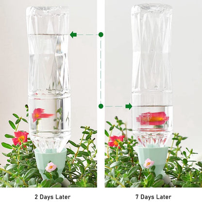  BOTC Waterdruppelaar Set Van 6 Stuks Voor Planten - Watergeefsysteem