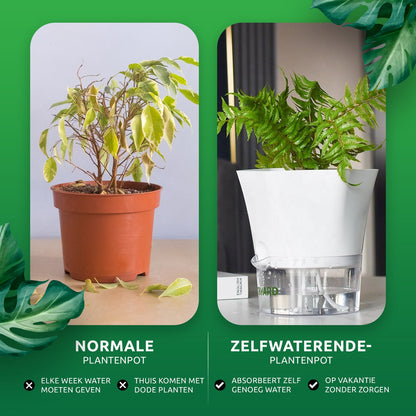  SKYARD® 3 Stuks Zelfwaterende Bloempot Maat M – Milieuvriendelijk Watergeefsysteem Kamerplanten – Zelfwatergevende Pot – Bloempot Met Waterreservoir – Selfwatering Pot – Wit