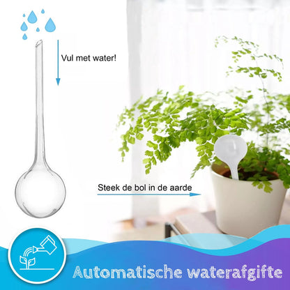  Summer Spark Waterdruppelaar Voor Planten 6 Stuks Transparant – 27 CM X 8 CM – 250 ML – Automatisch Watergeefsysteem Voor Kamerplanten – Planten Watergever Met Druppelsysteem – Waterbol