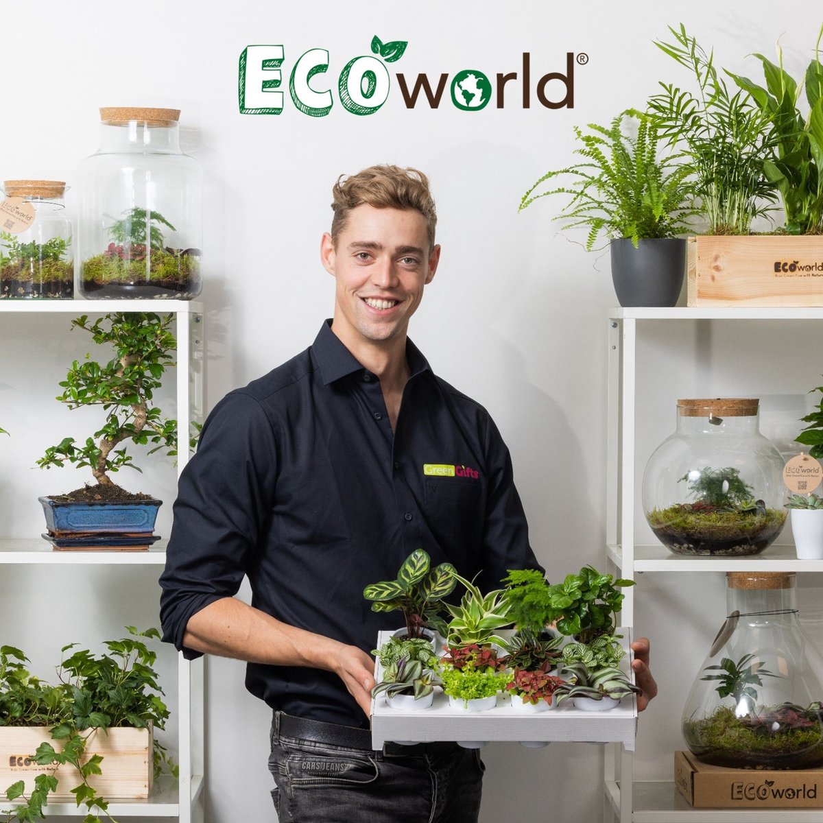  Ecoworld Mini Cactussen - 5 Stuks - Ø 6 Cm - Hoogte 8-15 Cm