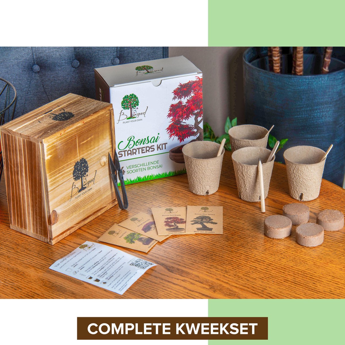  B-seed Starters Kit Incl. E-Book Bonsai Zaden Kweken - Boompje In Pot - Kamerplanten - Kweekset - Geschenkset - Kerstcadeau