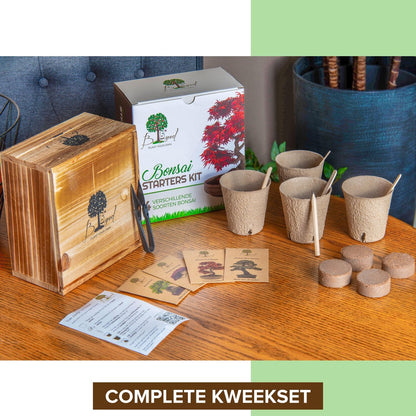  B-seed Starters Kit Incl. E-Book Bonsai Zaden Kweken - Boompje In Pot - Kamerplanten - Kweekset - Geschenkset - Kerstcadeau