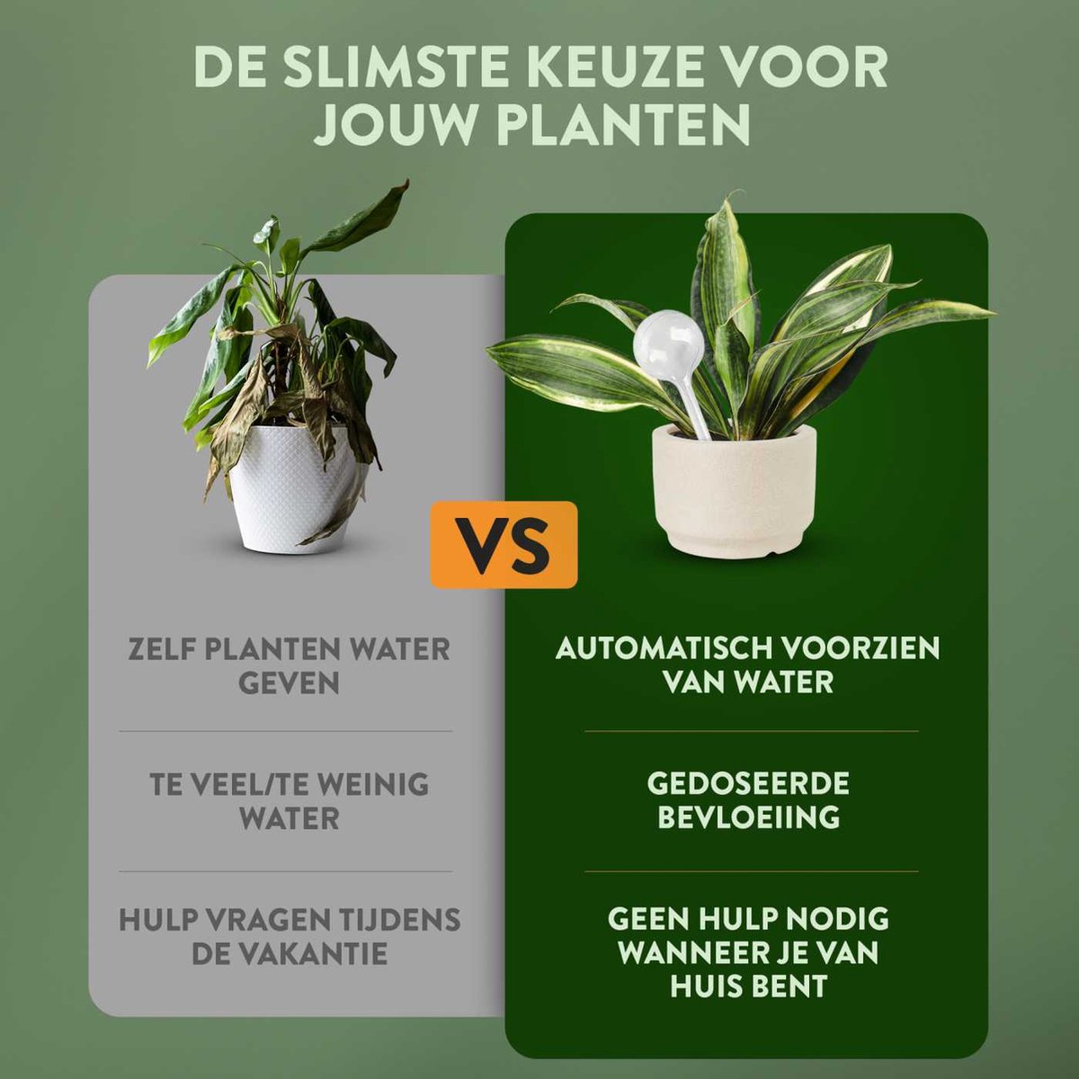  STFF &amp; Co® Waterdruppelaar Voor Planten – Irrigatiesysteem Automatisch Watergeefsysteem – Waterbollen Voor Planten – Bewateringssysteem – 8 Stuks - 8cm
