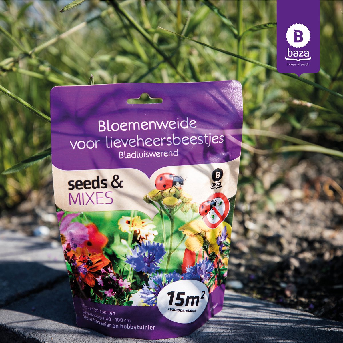  Seeds &amp; Mixes Bloemenweide Zaden Meerjarig En Wilde Bloemen 2 Stuks