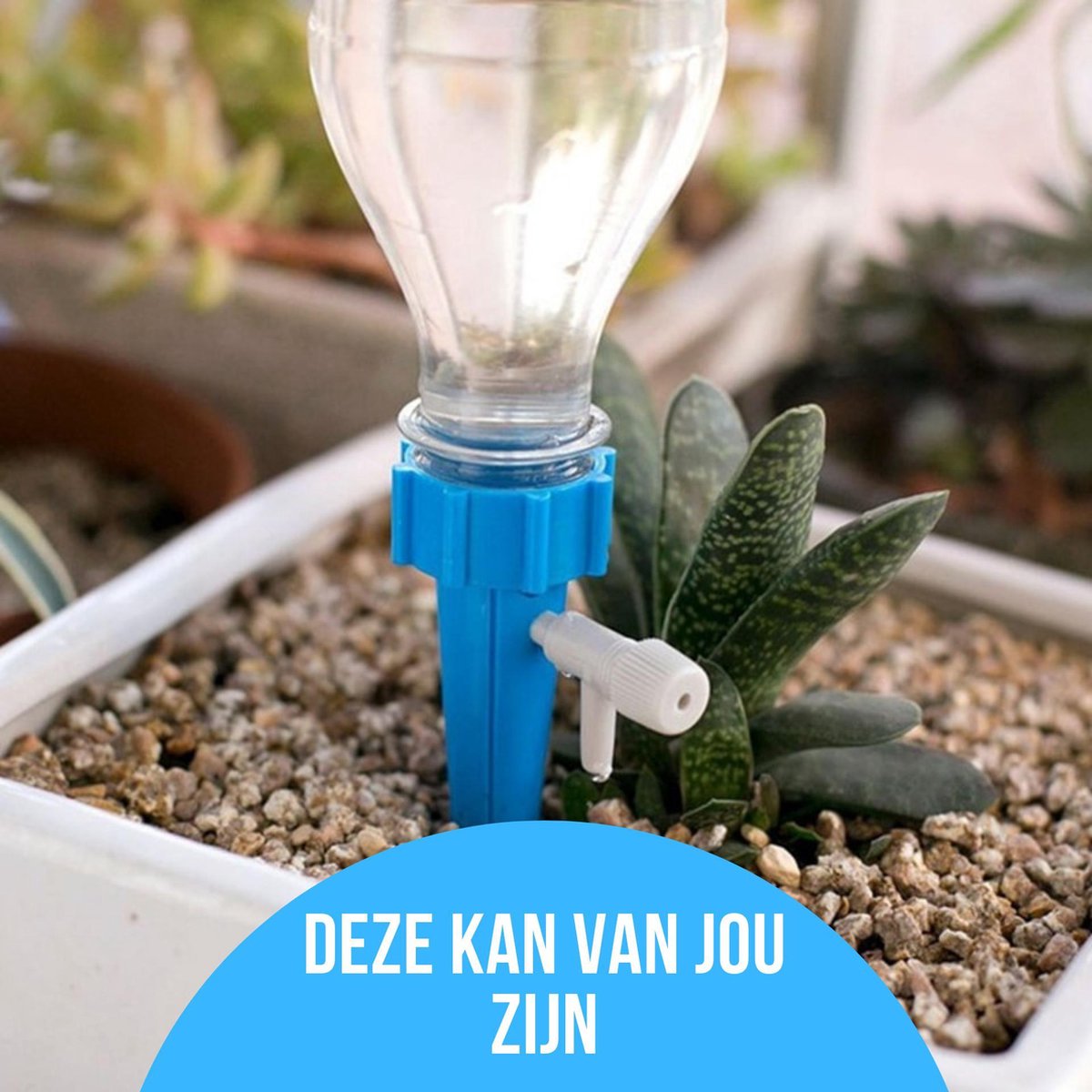  12 Stuks Plant Bewateringssysteem | Waterdruppelaar | Druppelsysteem |Bewateringssysteem | Bewateringsyteem Watergeefsysteem | Plantenbol | Automatische Gieter | Water Druppelaar | Druppel Systeem | Water Geef Systeem | Plantenbol |