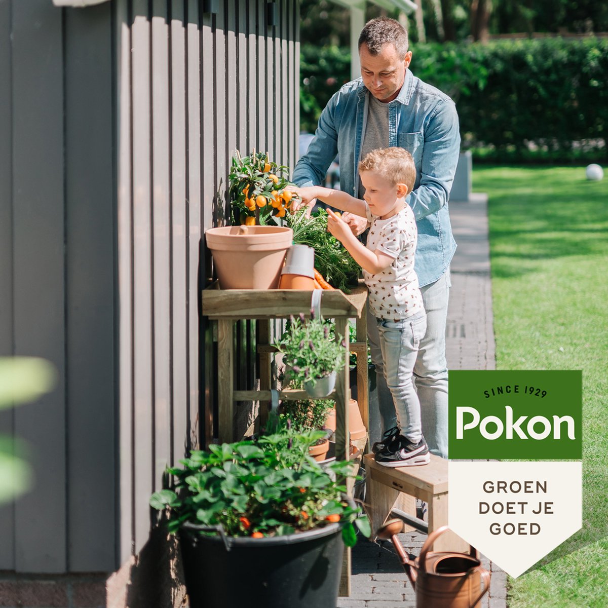  Pokon Bio Zaai- En Stekgrond - 3x10l - Potgrond (biologisch) - Stimuleert Wortelontwikkeling