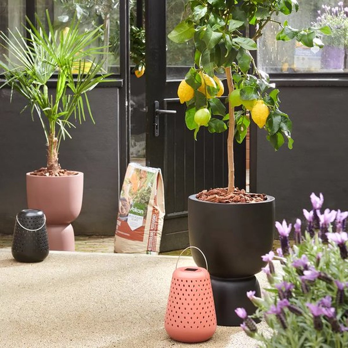  Elho Pure Coupe 35 - Bloempot Voor Binnen &amp; Buiten - Ø 34.9 X H 49.0 Cm - Zwart/Zwart