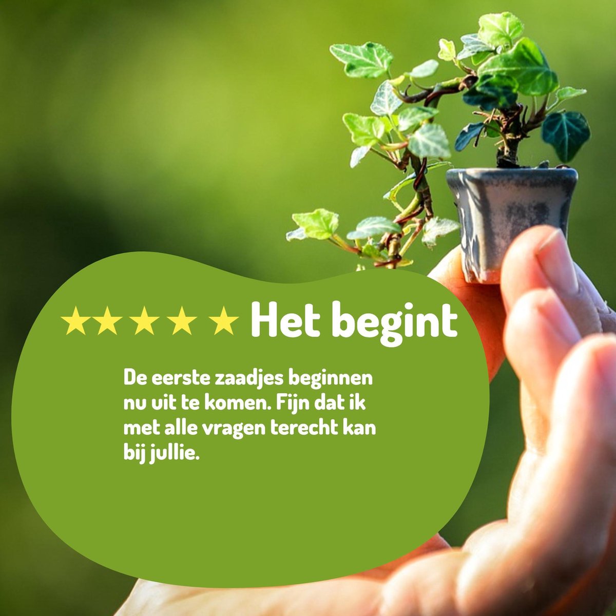  Bonsai Zaden 6 Soorten Incl. E-Book - Kweekset - Boompje In Pot - Kamerplanten – Kerstcadeau