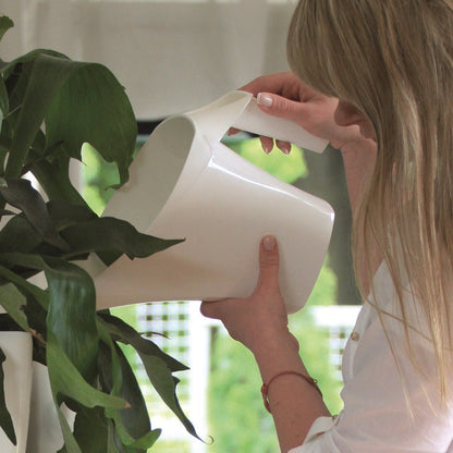 Prosperplast 1x Stuks Antraciet Bloemen/planten Gieters Kunststof 2 Liter - Gieters Voor Binnen En Buiten