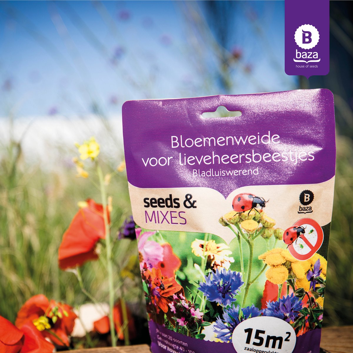  Seeds &amp; Mixes Bloemenweide Zaden Meerjarig En Wilde Bloemen 2 Stuks