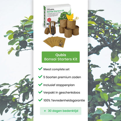  Qubis Bonsai Starters Kit - 23 Delige Kweekset - 5 Soorten Premium Zaden - DIY Pakket - Binnen Bonsai Boompje Kweken - Incl. Rouwvliegjes Vanger