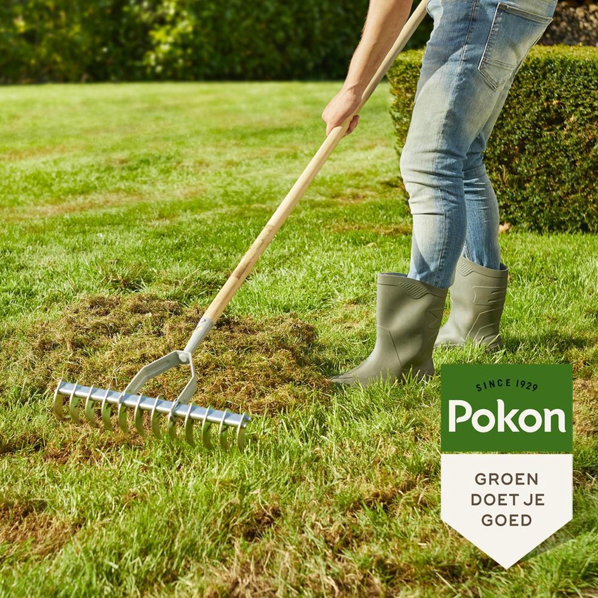  Pokon Graszaad Herstel - 1kg - Gazonherstel - Geschikt Voor 40m² Tot 60m² - Supersnel Egaal Groen Gras