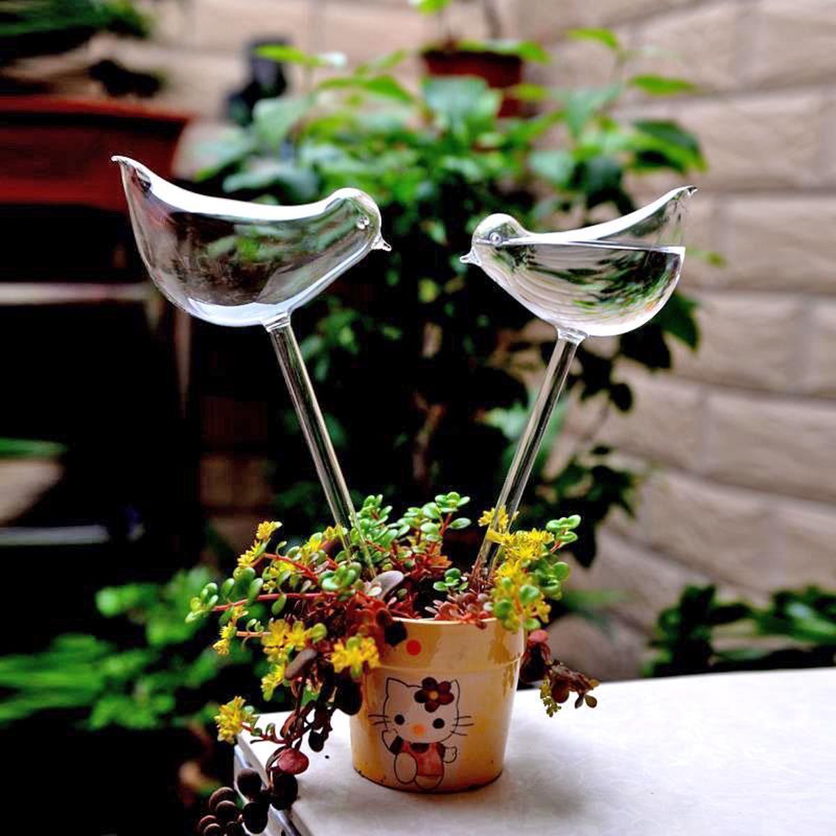  Planten Watergever Glazen Vogel (set Van 2)