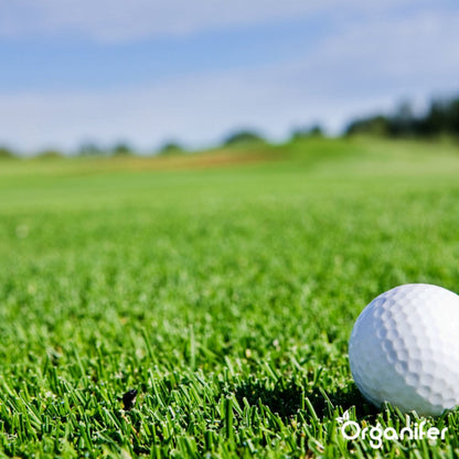  Speelgazon Graszaad (1kg Voor 50m2) - Snelkiemend En Zelfherstellend Sportgazon Bestand Tegen Betreding - Resilient - Organifer