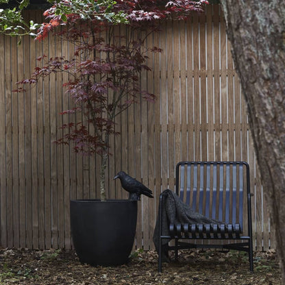  Capi Europe - Bloempot Bol Smooth NL - 35x34 - Zwart - Voor Binnen En Buiten - KBL932