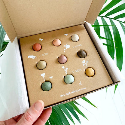  Blossombs Giftbox Medium Zaadbolletjes - 9 Stuks