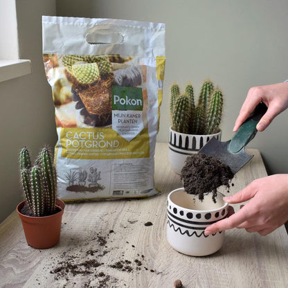  Pokon Cactus Potgrond - 5l - Potgrond (Cactus) - 60 Dagen Voeding