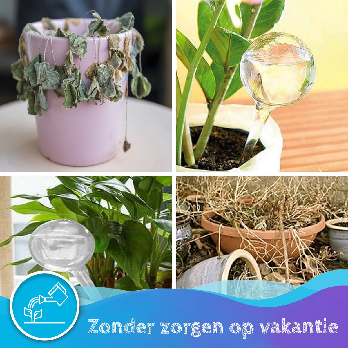  Summer Spark Waterdruppelaar Voor Planten 6 Stuks Transparant – 27 CM X 8 CM – 250 ML – Automatisch Watergeefsysteem Voor Kamerplanten – Planten Watergever Met Druppelsysteem – Waterbol
