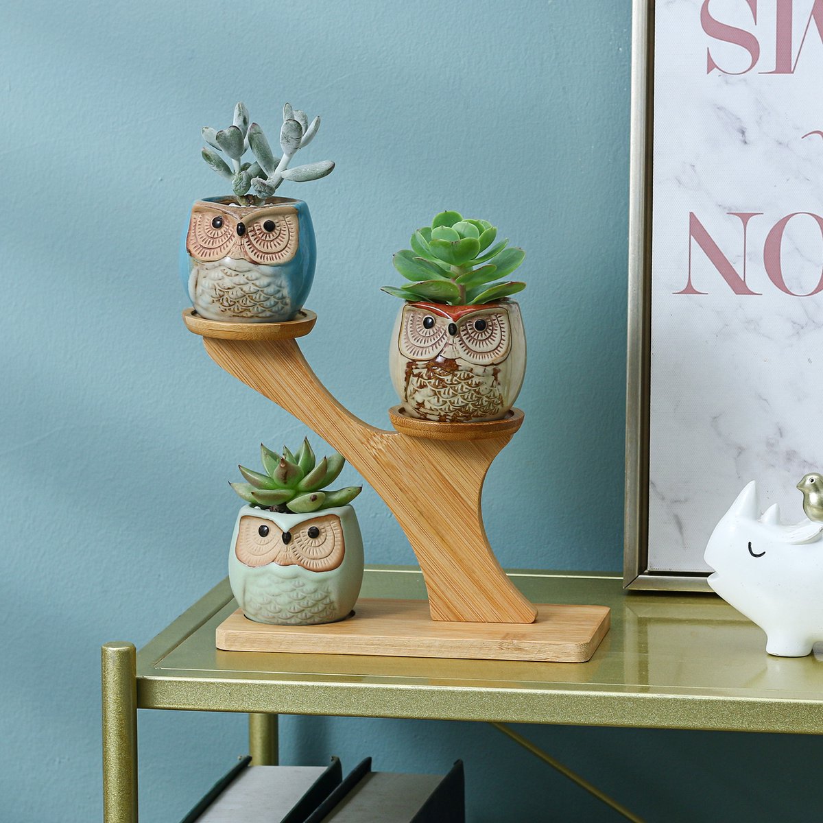  Luxe Bamboe Houten Boom Met 3 Keramiek Uil Bloempotten/Plantenpotten Op Standaard/Voet Voor Binnen En Buiten - Modern Design Bloempot/Plantenpot Op Poten/Pootjes-Plantenbak Mini Cactus Nep Plant Pot Houder - Kleine Bloembakken Plantenrek/Plantenkurk