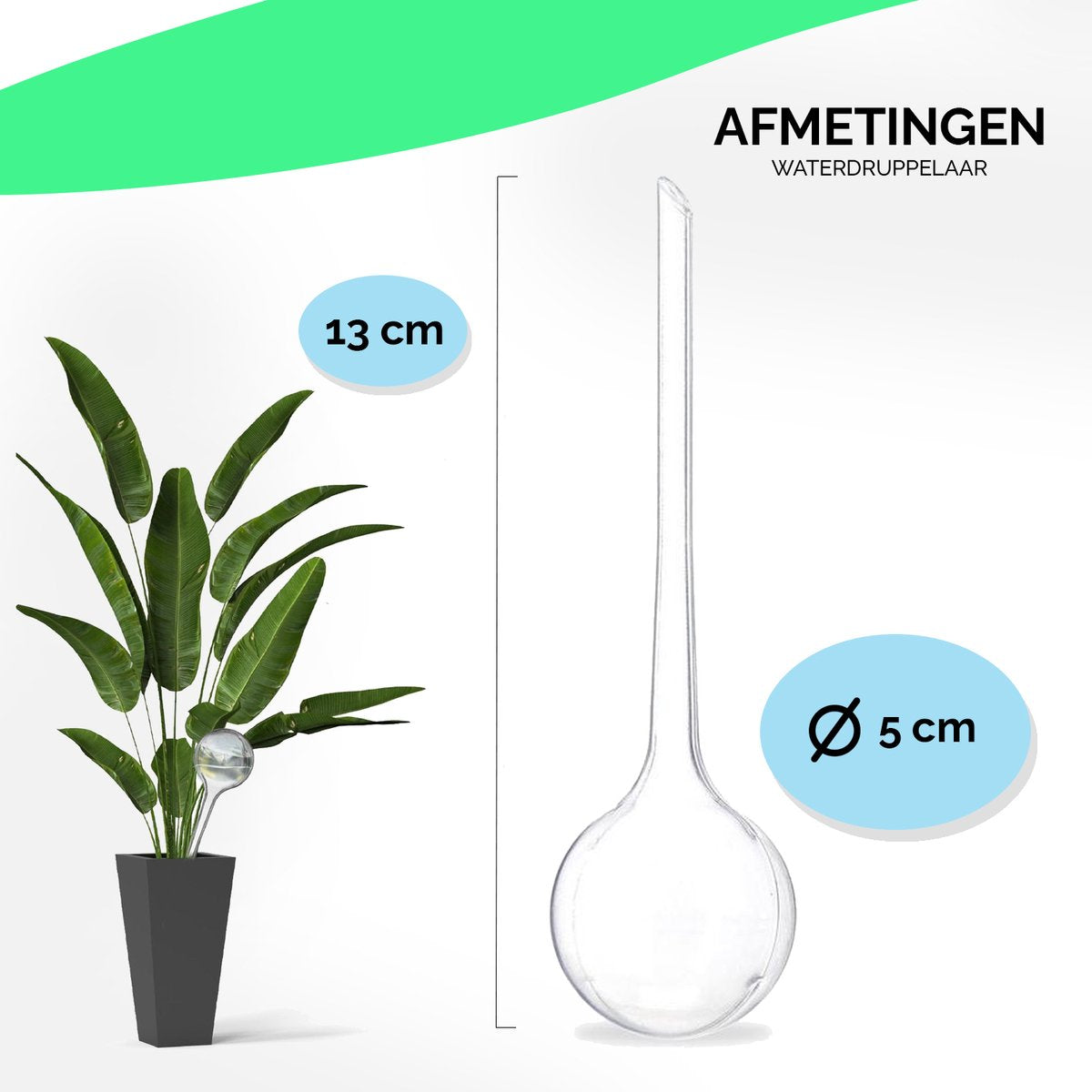  HGMD Waterdruppelaar Set Van 8 Stuks Voor Planten Transparant - Blauw - Waterdruppelaar Voor Kamerplanten – Waterbol - Waterdruppelaar Voor Planten - Watergeefsysteem