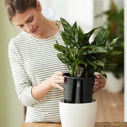  Elho Self-watering Insert 33 - Accessoires Voor Binnenaccessoires - Ø 33.3 X H 30.7 Cm - Zwart/Living Black