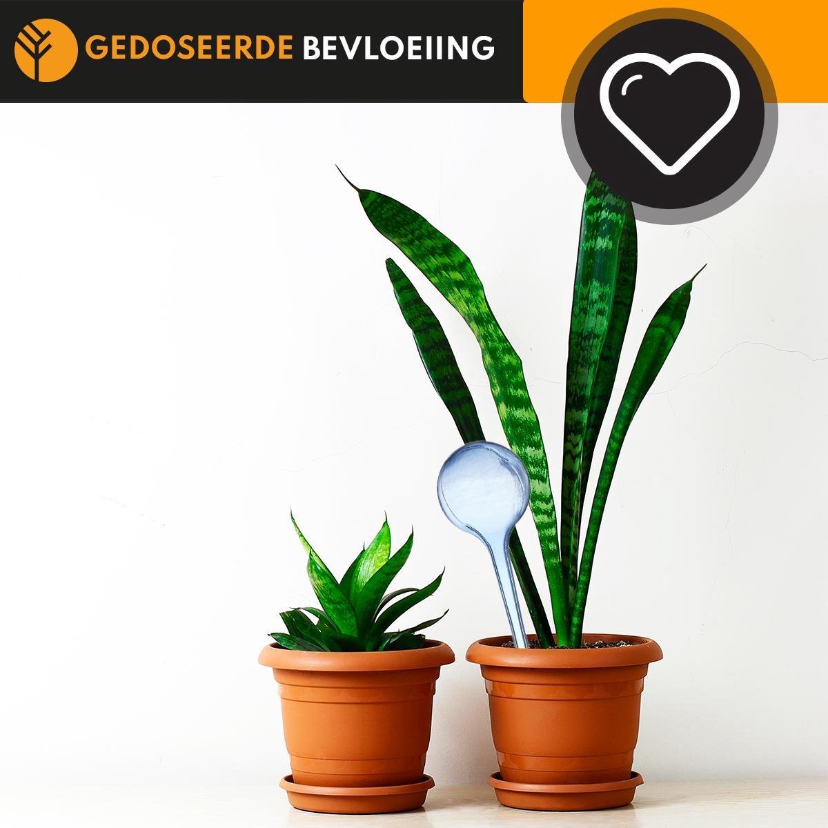  Waterdruppelaar Blauw Set Van 6 Stuks Voor Planten – 27 CM – Automatisch Watergeefsysteem Voor Kamerplanten – Planten Watergever Met Druppelsysteem – Waterbol