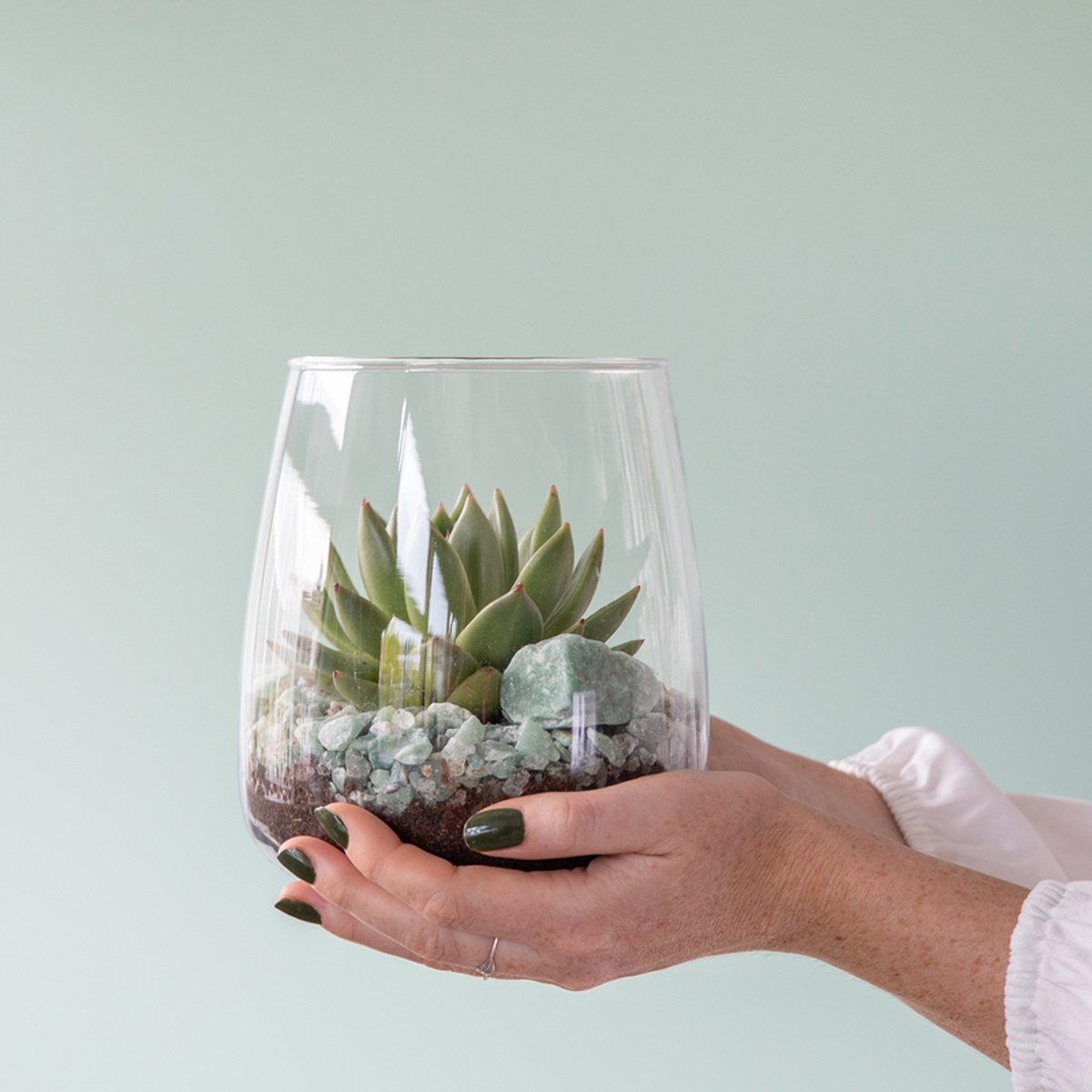  Glaasje Geluk | Echeveria Miranda | In Glas Arrangement | Planten | Bloompost