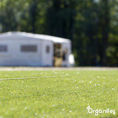  Herstelgazon Graszaad Met Grote Kiemkracht – Fast Repair (1 Kg Voor 50m2) Organifer