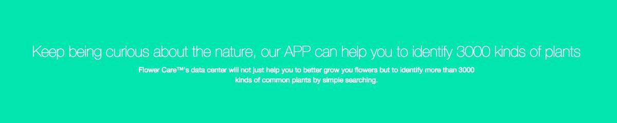  Xiaomi HHCC - Flower Care Smart Plant Sensor | Houdt De Welzijn Van De Planten Goed In De Gaten!!