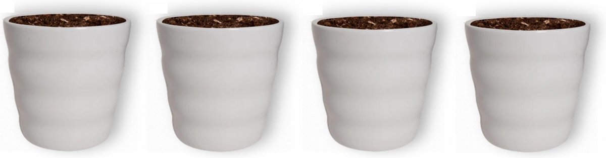  WL Plants - Bloempot Binnen - Set Van 4 - Dawn Ø12 Wit - Luxe Bloempotten Voor Binnen - Bloempotten Voor Buiten - Bloembak &amp; Plantenpot - Hoogte 12,5 Cm - Keramisch Met Hoogwaardige Afwerking